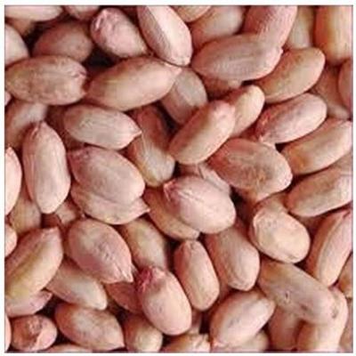 Peanut (Mungfali)