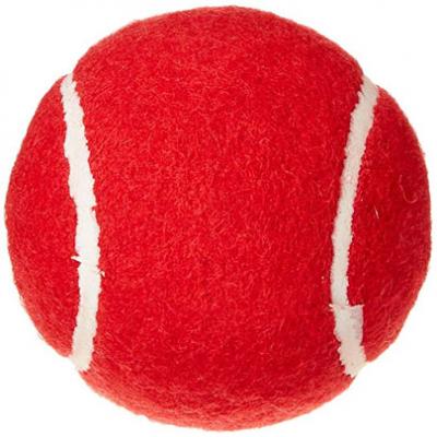 Guru A.B.M T-20 Ball